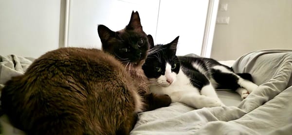 OSCAR et BETTY
