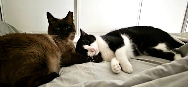 OSCAR et BETTY