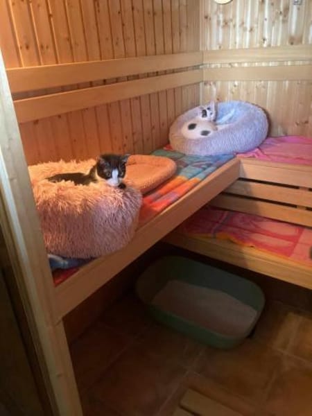 Penny und Pepe suchen gemeinsam