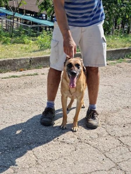 Dringender Notfall 🆘 RUBY sucht ♥