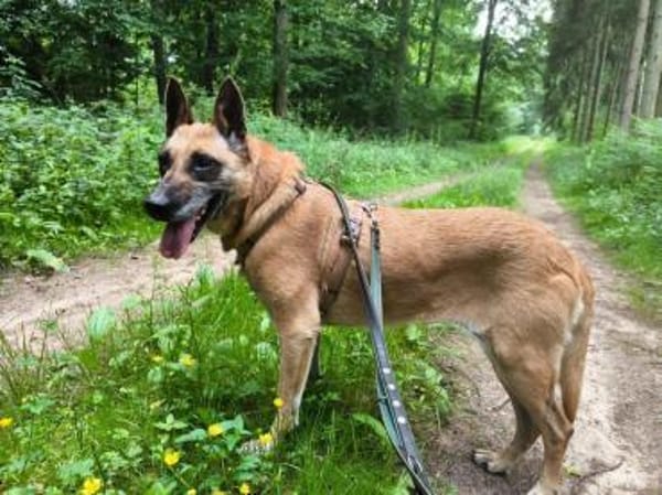 Dringender Notfall 🆘 RUBY sucht ♥