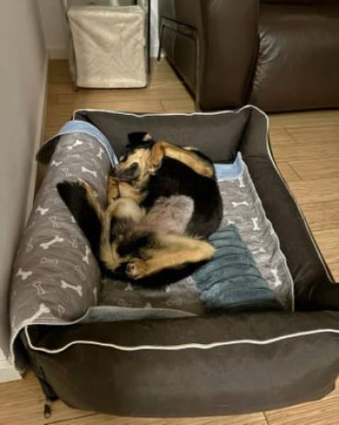 Ally ist so fröhlich und lieb!