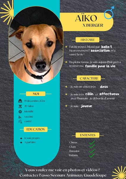AIKO, un bonheur de chien