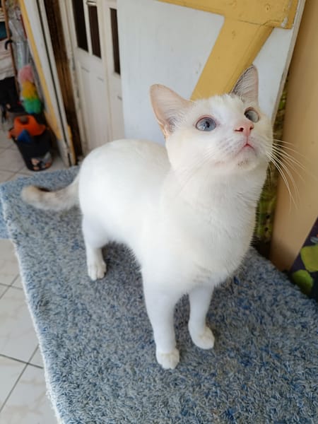 Lily Rose, je suis très câline