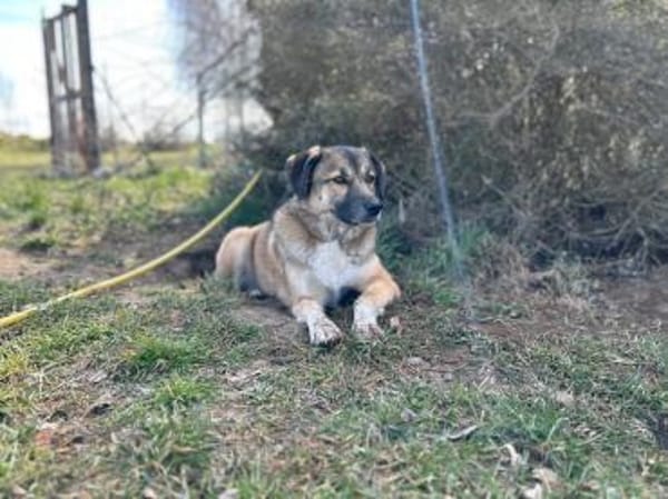 Rey - Königin sucht Hofstaat