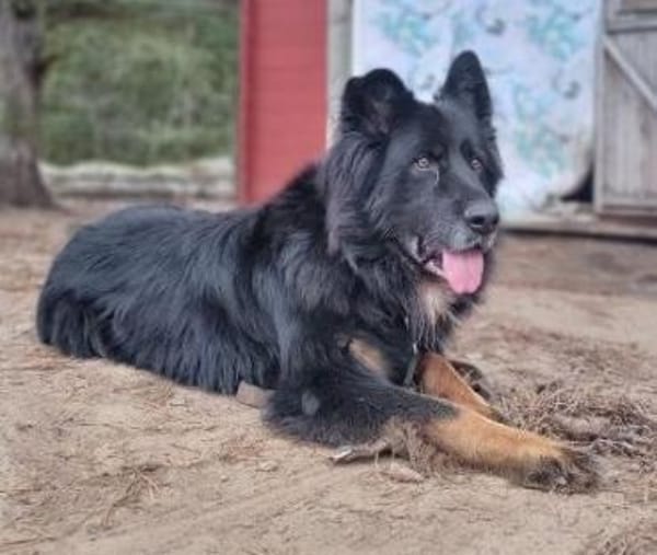 Benny