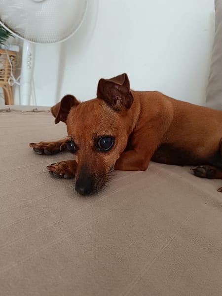 Roxy la mamie coquine