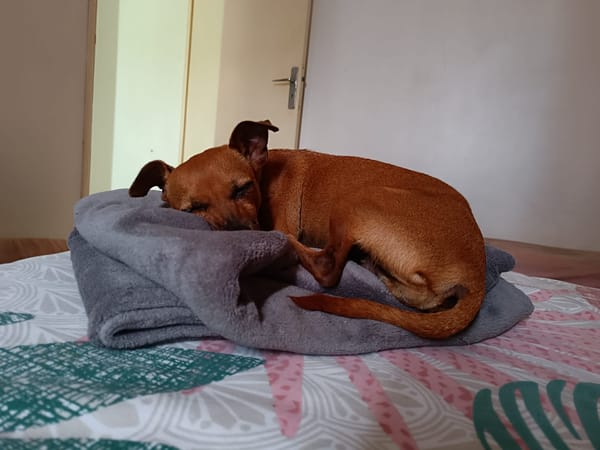 Roxy la mamie coquine