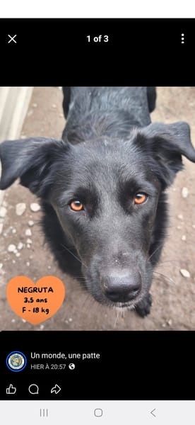 Nagruta