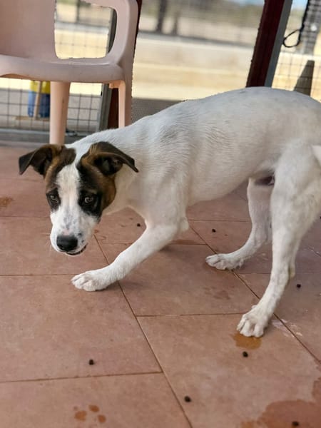 RUFUS (Maria)