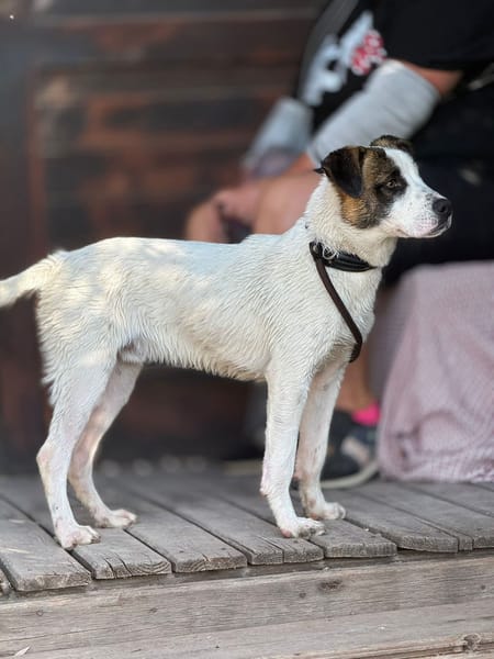 RUFUS (Maria)