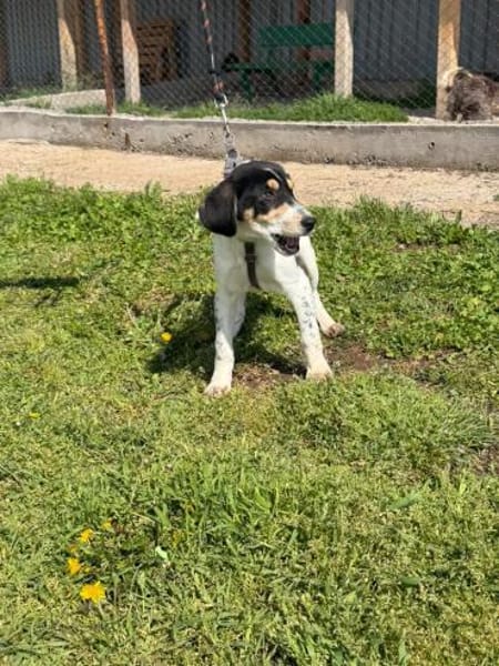 ❤Emely - AB 24.05.2026 BEI UNS!!!