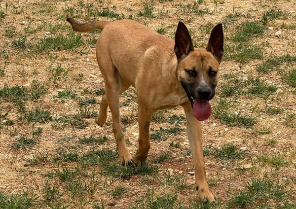 SAGRADOULE