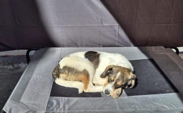 Lea will dein Leben auf den Kopf stellen