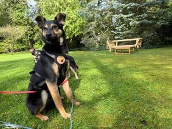 Tamina sucht eine liebevolle Familie