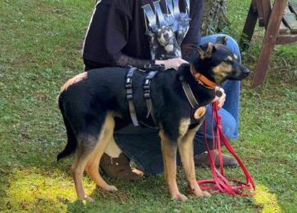 Tamina sucht eine liebevolle Familie