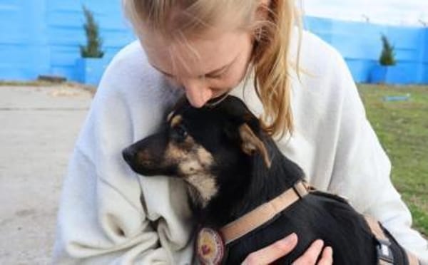 Tamina sucht eine liebevolle Familie