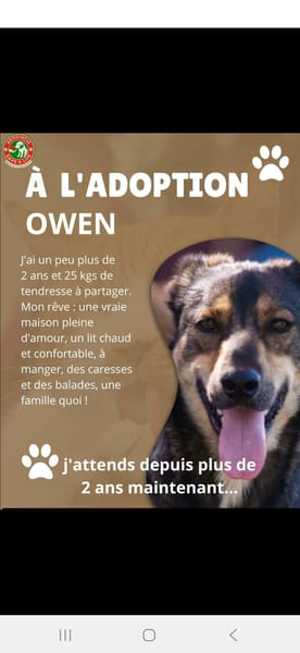 Owen