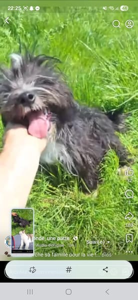 Pufy