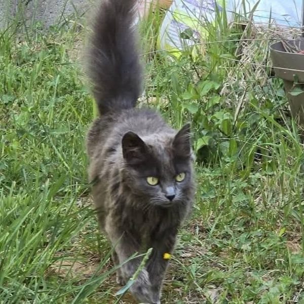 Olga