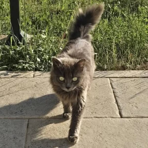 Olga
