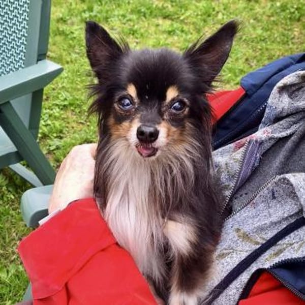 Zeus💕ruhig und ausgeglichen