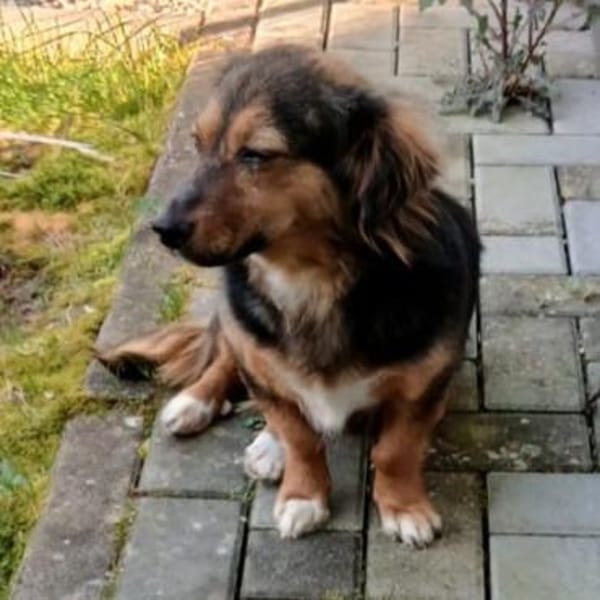 Liesel💕wartet in 67308 Ottersheim