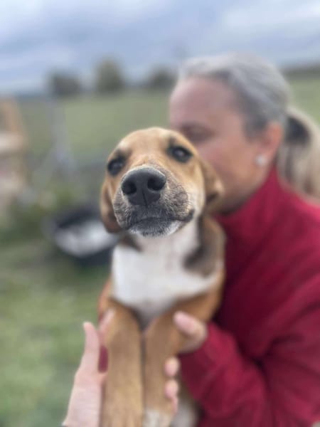 Mandy, zartes Hundemädchen sucht Liebe