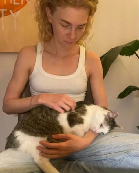 Jonny Stattlicher Kater sucht  Familie