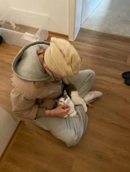 Jonny Stattlicher Kater sucht  Familie