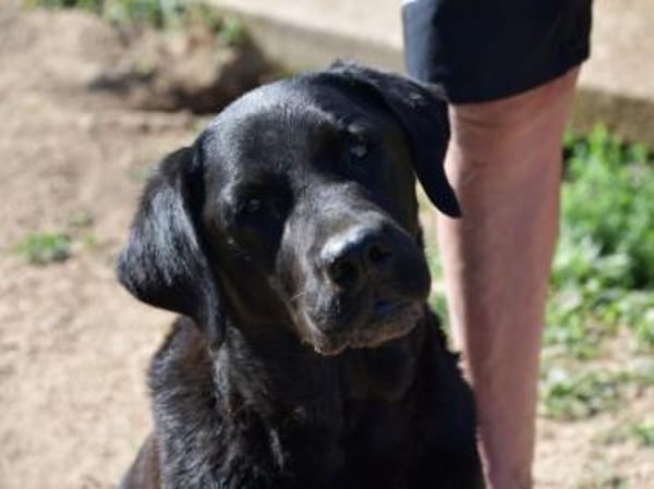 Margot sucht engen Familienanschluss