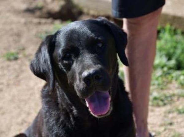 Margot sucht engen Familienanschluss
