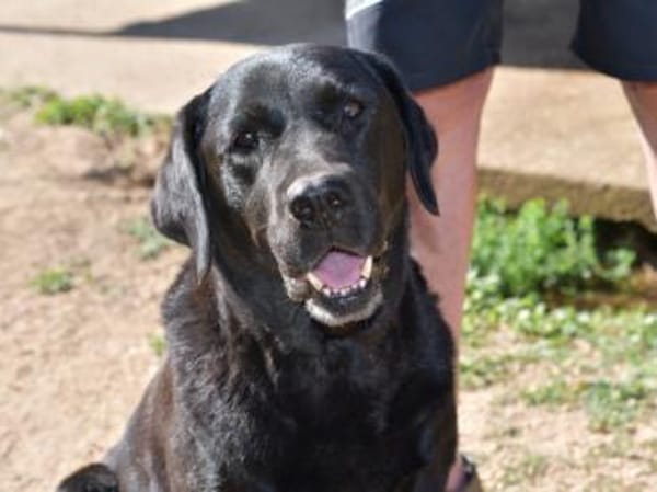 Margot sucht engen Familienanschluss