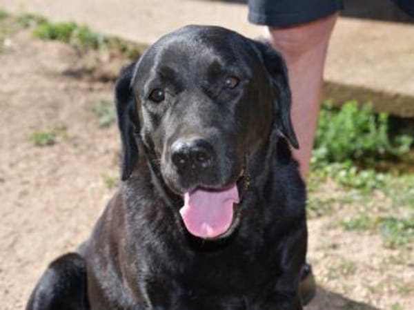 Margot sucht engen Familienanschluss