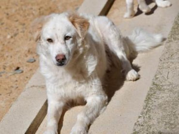 April sucht passendes Zuhause