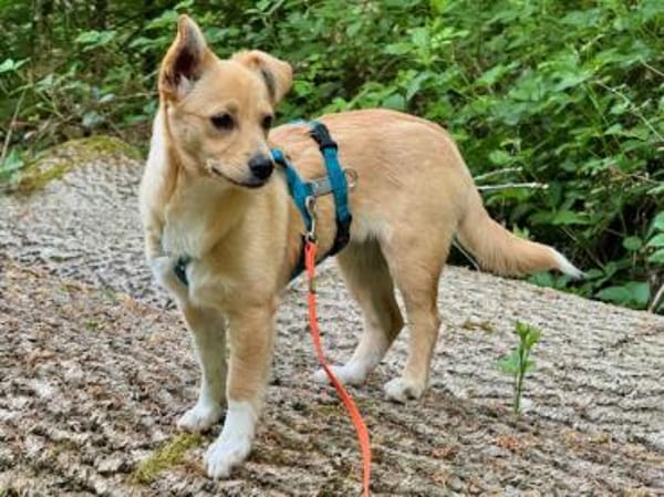 Margherita sucht Familienanschluss