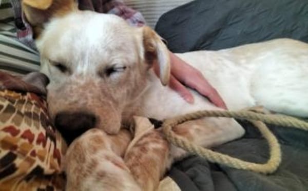 Kasimus sucht ein ländliches Zuhause
