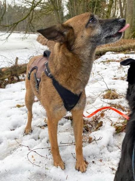 NISHA sucht ihre eigene aktive Familie