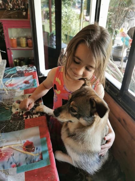 SONJA IST DER IDEALE FAMILIENHUND