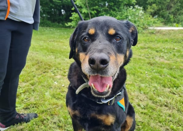 MARLEY