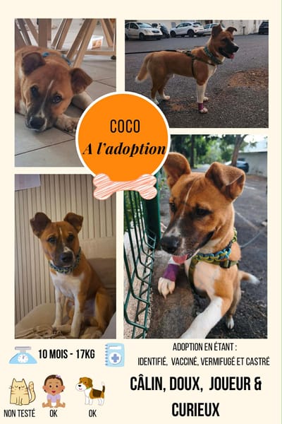 Coco