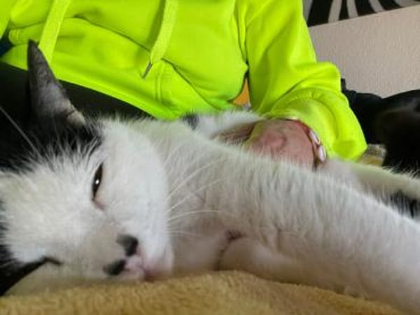 Unser Wunder Agata sucht liebes Home