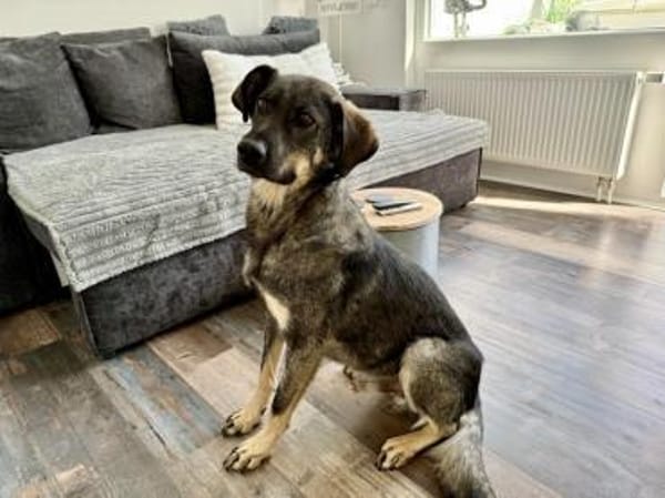 Gibst du dem schönen Matteo eine Chance?