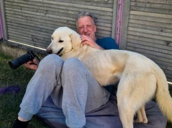 Brando möchte Ihr Familienhund werden