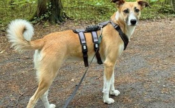 Aktive und sportliche Ellie