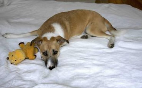 Aktive und sportliche Ellie