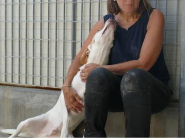 Giannini sucht ein Zuhause