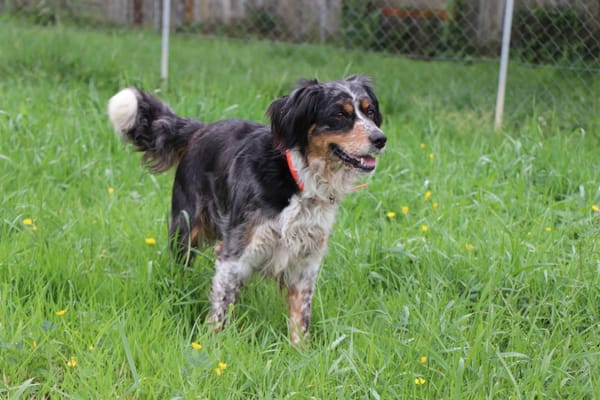 Missy (réservée)