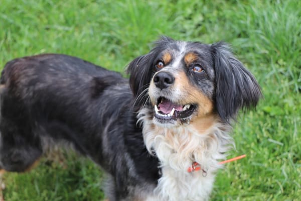 Missy (réservée)