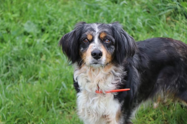 Missy (réservée)
